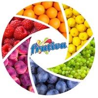 ALIMENTOS FRUTIVA S.A. de C.V. logo, ALIMENTOS FRUTIVA S.A. de C.V. contact details