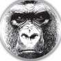 Gorilla Design logo, Gorilla Design contact details