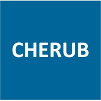 Cherub Advisory & Consulting - IT Sourcing for Maximum Value logo, Cherub Advisory & Consulting - IT Sourcing for Maximum Value contact details