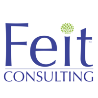 Feit Consulting logo, Feit Consulting contact details