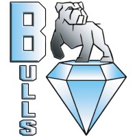 Bulls logo, Bulls contact details