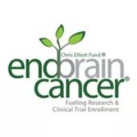 The EndBrainCancer Initiative - (The Chris Elliott Fund) logo, The EndBrainCancer Initiative - (The Chris Elliott Fund) contact details