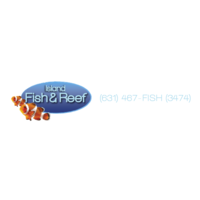 Island Fish & Reef logo, Island Fish & Reef contact details