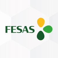 FESAS Projesi logo, FESAS Projesi contact details