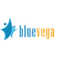 Bluevega Solutions logo, Bluevega Solutions contact details