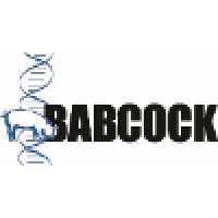 Babcock Genetics, Inc. logo, Babcock Genetics, Inc. contact details