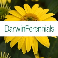 Darwin Perennials logo, Darwin Perennials contact details