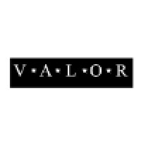 Valor Safety Pros logo, Valor Safety Pros contact details