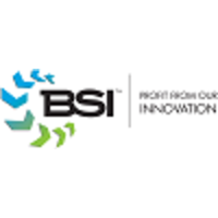 Business Services, Inc. (BSI) logo, Business Services, Inc. (BSI) contact details