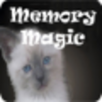 Memory Magic logo, Memory Magic contact details