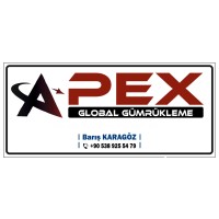 APEX GLOBAL logo, APEX GLOBAL contact details