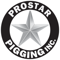 ProStar Pigging Inc logo, ProStar Pigging Inc contact details