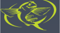 Flying Fish Studios logo, Flying Fish Studios contact details