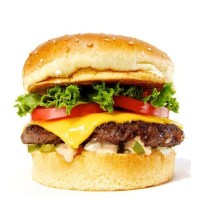 Tasty Burgers logo, Tasty Burgers contact details