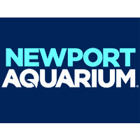 Newport Aquarium logo, Newport Aquarium contact details