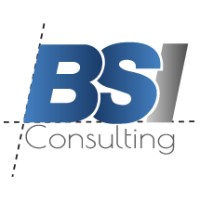 BSI Consulting logo, BSI Consulting contact details