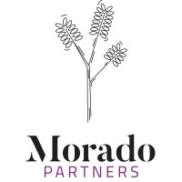 Morado Partners logo, Morado Partners contact details