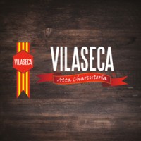 VILASECA SAS logo, VILASECA SAS contact details