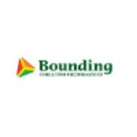 Bounding - Consultorio Psicopedagógico logo, Bounding - Consultorio Psicopedagógico contact details