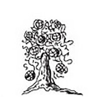 The Yarn Tree logo, The Yarn Tree contact details