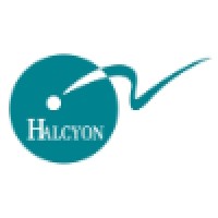 Halcyon Search International logo, Halcyon Search International contact details