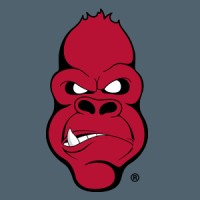 Angry Ape ® Creative logo, Angry Ape ® Creative contact details