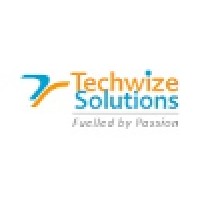 Techwize Solutions logo, Techwize Solutions contact details