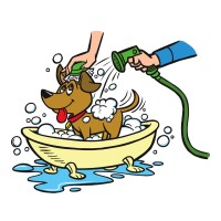 All Paws Pet Wash logo, All Paws Pet Wash contact details