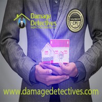 Damage Detectives Inspection Services LLC logo, Damage Detectives Inspection Services LLC contact details