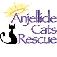 Anjellicle Cats Rescue logo, Anjellicle Cats Rescue contact details