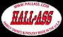 Hall Associates, Inc. logo, Hall Associates, Inc. contact details