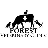 Forest Veterinary Clinic logo, Forest Veterinary Clinic contact details