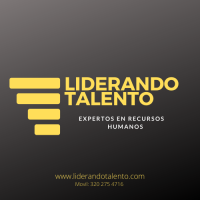 LiderandoTalento logo, LiderandoTalento contact details