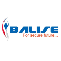 Balise Consultants Pvt. Ltd logo, Balise Consultants Pvt. Ltd contact details