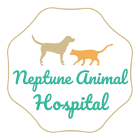 Neptune Animal Hospital logo, Neptune Animal Hospital contact details