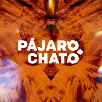 Pájaro Chato logo, Pájaro Chato contact details