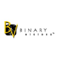 Binary Visions logo, Binary Visions contact details