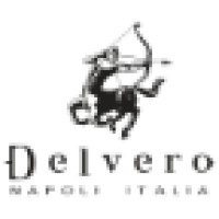 Delvero logo, Delvero contact details