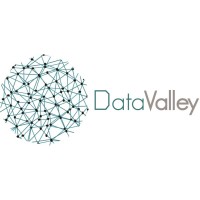 Data Valley for Trading Est logo, Data Valley for Trading Est contact details