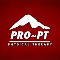 PRO~PT Physical Therapy logo, PRO~PT Physical Therapy contact details