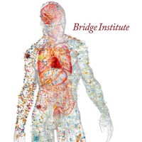 USC Bridge Institute logo, USC Bridge Institute contact details