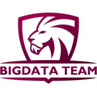 BigData Team logo, BigData Team contact details