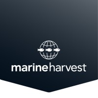 Marine Harvest (Scotland) Ltd logo, Marine Harvest (Scotland) Ltd contact details