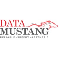 Data Mustang Inc logo, Data Mustang Inc contact details