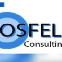 OSFEL CONSULTING logo, OSFEL CONSULTING contact details