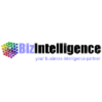 BIZ Intelligence logo, BIZ Intelligence contact details