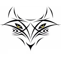 Fox Valley Swim Team logo, Fox Valley Swim Team contact details