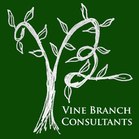 Vine Branch Consultants logo, Vine Branch Consultants contact details