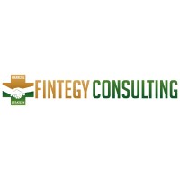 Fintegy Consulting, LLC logo, Fintegy Consulting, LLC contact details