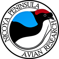 Nicoya Peninsula Avian Research Station logo, Nicoya Peninsula Avian Research Station contact details